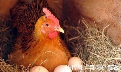 唐老鸭|8个“没什么卵用”但可以“涨姿势”的冷知识