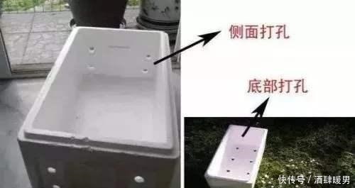 70岁的他,喜欢用“废品”养花种菜,月饼盒、泡沫箱都能用上!