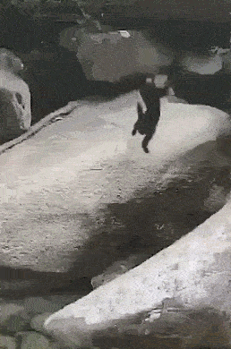 |搞笑GIF段子:我:你这光呼了,没吸啊