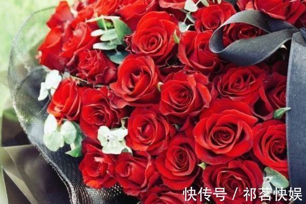 喜欢玫瑰，不如首选珍稀玫瑰“卡罗拉”，花开红如焰火，绚丽典雅