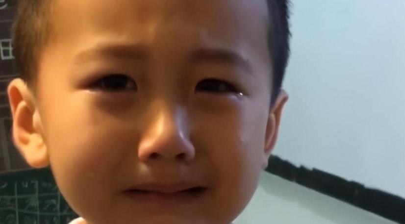 告状|弟弟被姐姐打哭，一边告状一边护着姐姐，画面太暖感动众人