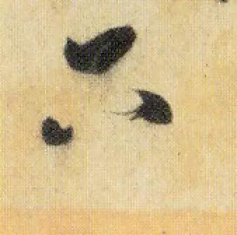 米芾《焚香帖》,难得一见的草书,大图欣赏