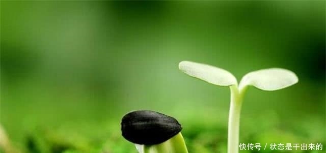 曾国藩家训|一个家族兴旺发达的三种“迹象”,若有一个,便是好事