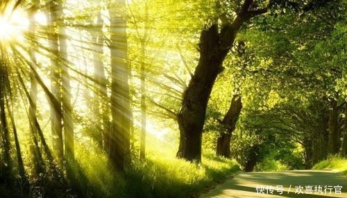 发生变化|“迟到的正义已经不是正义”,你认可这句话吗,为什么?