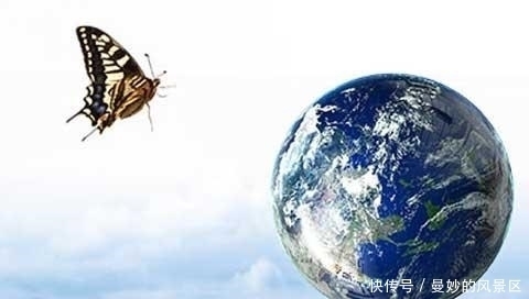 洞悉人性,世界上著名的十大定律,你知道几条