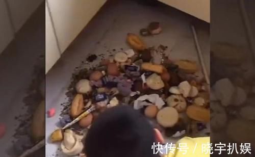 妈妈|妈妈发现了一个不爱吃早饭的“熊孩子”,真想不到,藏得也太深了