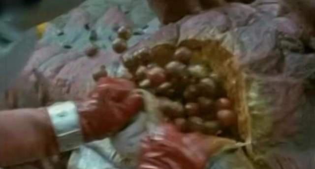 螃蟹|泰罗奥特曼里的悲剧时刻,怪兽破坏船只为生存,最后怪兽全家被吃