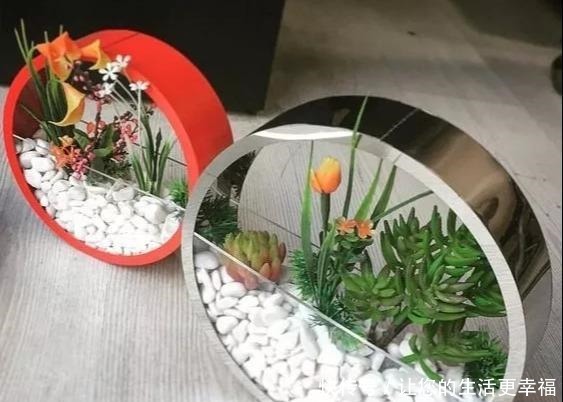 这些旧物都可以挂墙上养花,比挂画还好看呢,5种变废为宝创意!