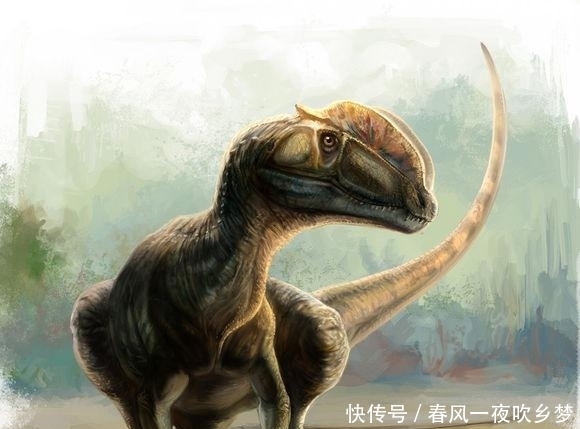 它既不是鳄鱼也不是蜥蜴,直到19世纪人们