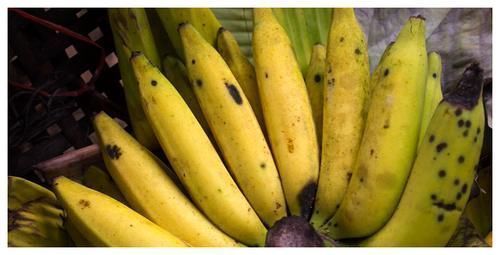 香蕉|五种水果尽量不吃,为了健康,也要好好看一下!