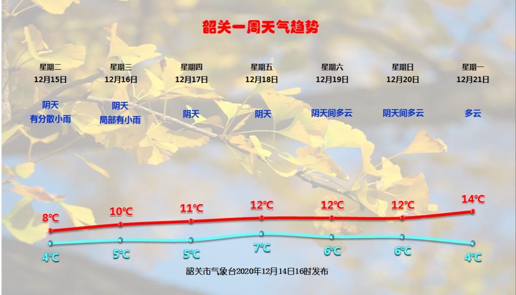 冰挂|冷空气怒刷存在感!韶关多地出现雾凇、冰挂,宛如童话世界