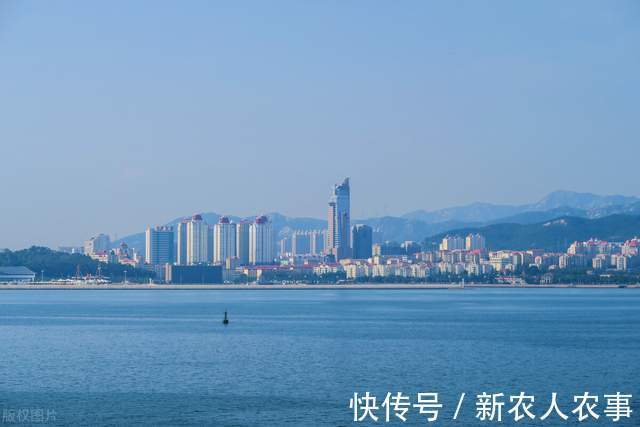 山东钓鱼人组团深海钓大鱼,米级百斤巨物接连上钩,网友:发财了