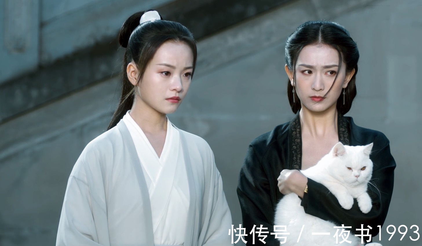 剑仙#《雪中悍刀行》姜泥被称为“万剑共主”?根骨超凡,李淳罡都觊觎