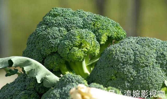 抗癌|西兰花最防癌吃法,原来我们错了这么多……营养全都浪费了