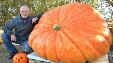 世界粮食日南瓜是长寿瓜,不会吃是催命符,2误区要了解