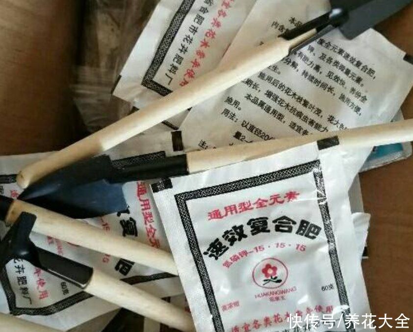 零学|从零学起，4个养花基础知识，让养花变得更简单
