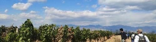 北大这门课上,为何会有酒香?