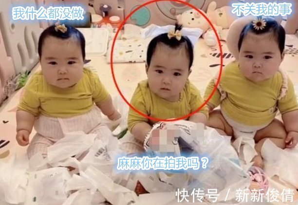 小宝宝|三胞胎姐妹“纸巾大战”,妈妈:不心疼钱,就是“血压”有点高