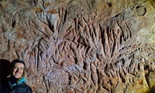 巴西发现一条距今13000年的隧道，有修建的痕迹，建造者却不是人