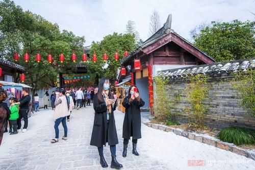 屋檐、地面雪白一片，大朵“雪花”从天而降，浙江宁波下雪了