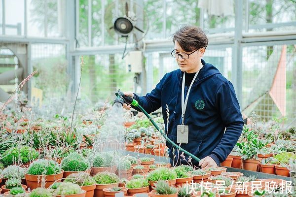 问诊|上海首座“植物专科医院”将在辰山植物园设立
