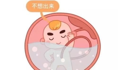 游泳|胎儿每天在妈妈肚子里忙什么?除了吃和睡,他们有好多事情要忙!