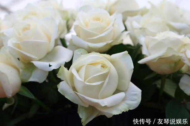 人生8不交,8不能,8不要,8不做,8不比,8不气,8不完