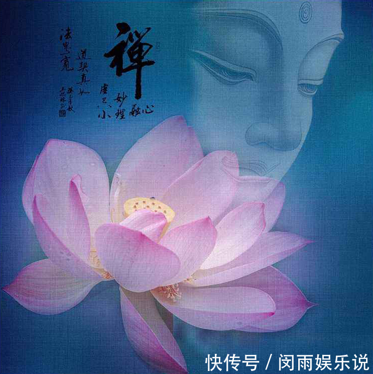 莲者#荷花不仅是诗人的灵魂，也是佛教信仰寄托，愿每人心中有一朵净莲