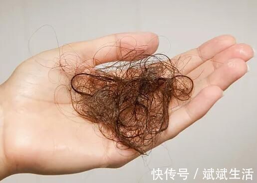 剪发|多久剪一次头发好?理发师养发私藏干货都在这了