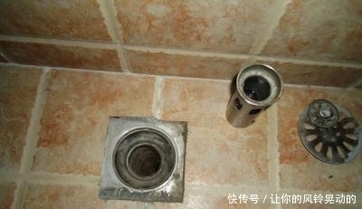 家里卫厕所异味太重,学会这招,一年四季都没有异味,真实用