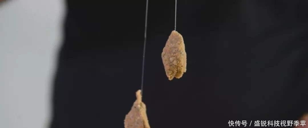 散落物|夏季钓鱼，面对小鱼大军的攻城略地，为何有些钓友输得很惨