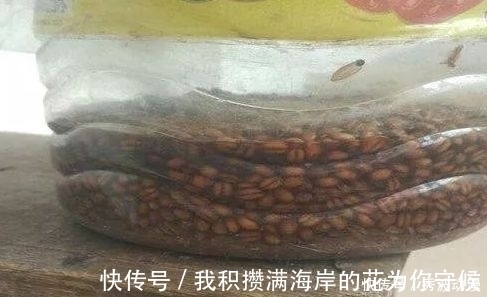 配方|鲫鱼“最上瘾”饵料，水里一抛，方圆30米的鲫鱼死命的咬钩