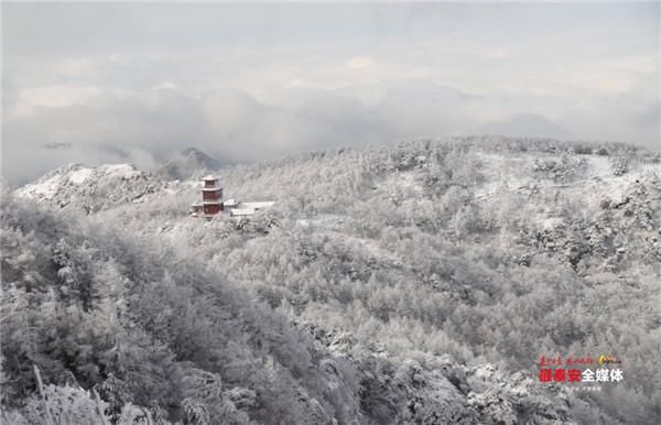 一路苍松万壑涛 料峭春雪入画来