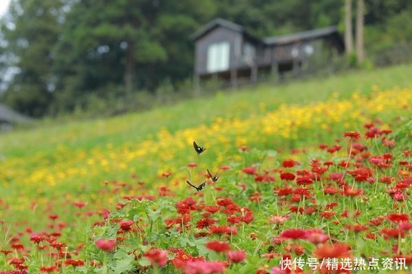 杨迪|贵州岑巩：打造乡村旅游产业 用“家乡美”成就“农民富”