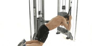 腹肌|健腹轮练不出八块腹肌因为你搞错了这个细节,越练腰越疼