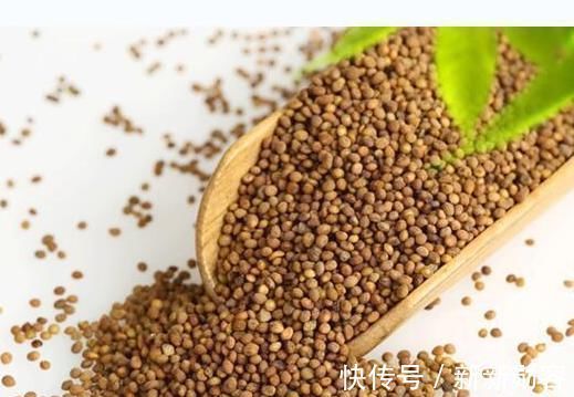 菟丝子|下面腰酸+上面耳鸣=肾虚推荐一味中药,效果令人不可思议