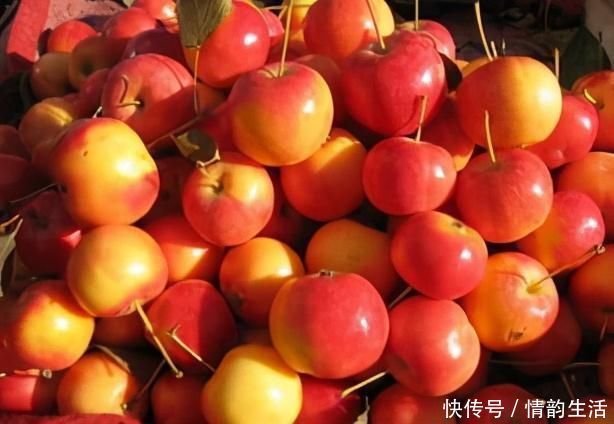 体质|想长寿要会吃,3种食物不错过,补血养颜、改善体质,早吃早好