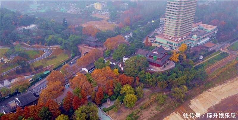 风采|航拍晴川阁百年银杏风采