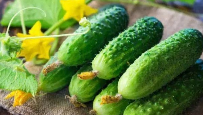 塑身|减肥塑身,促进肠胃的蠕动的四种食物,防皮肤干裂,滋润头发光亮