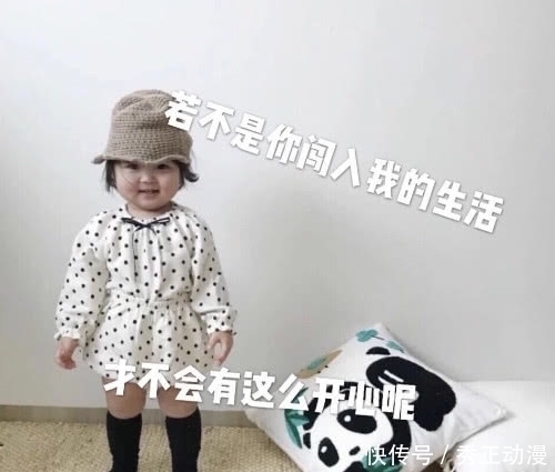 熬夜|搞笑表情:我发誓再也不熬夜了,如果我没做到就当我没说过