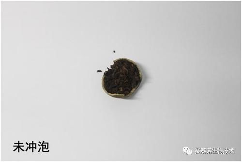 冲泡|你常喝的“小青柑”竟是“毒汤”?