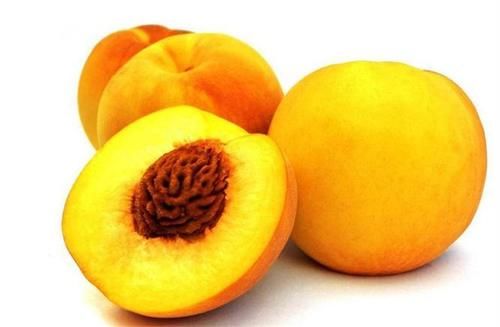 自然界|长寿老人爱吃3种食物，补充营养，延缓衰老，谁吃谁受益！