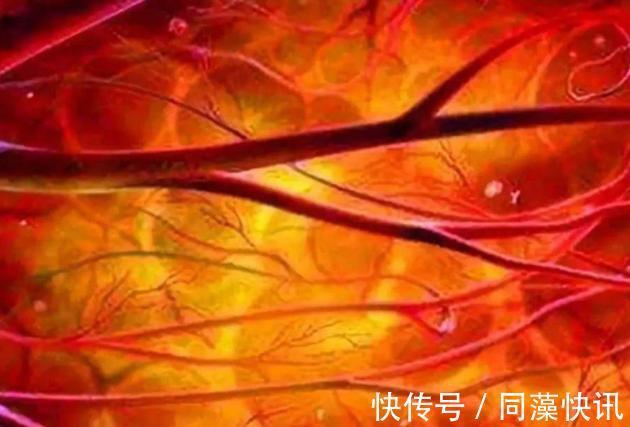 牛羊肉|常吃菠菜真能补血吗营养师搭配牛羊肉、猪肝效果肉眼可见