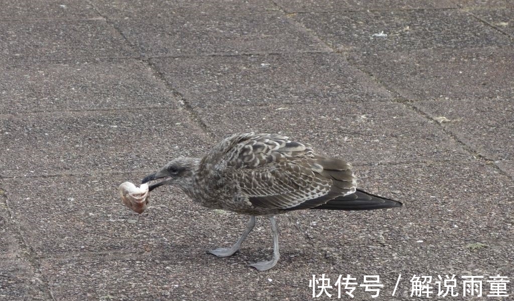 迷烟&2首很冷门的古诗词，历经千年风霜，却能够惊艳人心