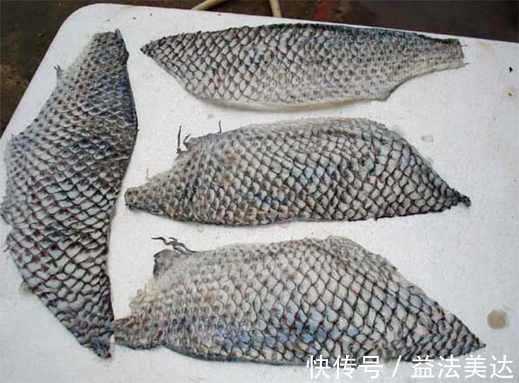 鲜美|溜鱼卷,做得不美味?厨娘说漏嘴:按照这个步骤做,酸甜鲜美