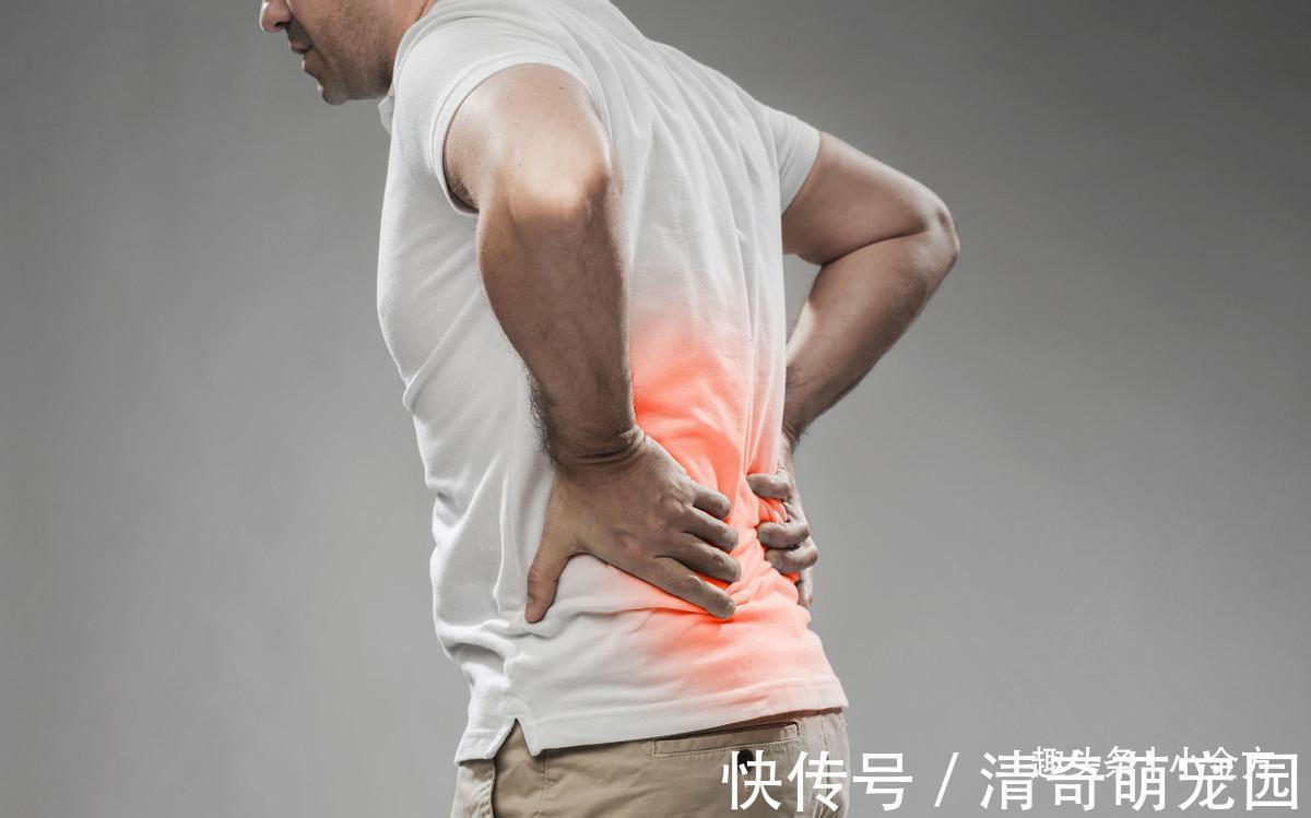 中医|大自然赐给男人的“保命丸”,补阳气养三焦,胜过六味地黄丸!