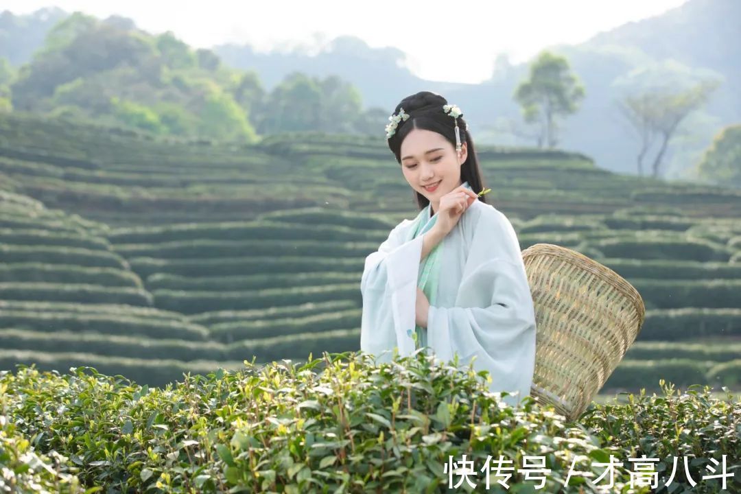 水调歌!念奴娇、雨霖铃、水调歌头:12大经典词牌名是怎么来的?