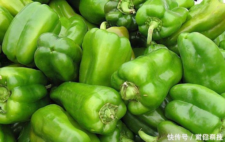 辅助治疗|常吃青椒的人，身体不会差，但切忌与一物同食，却有很多人不清楚