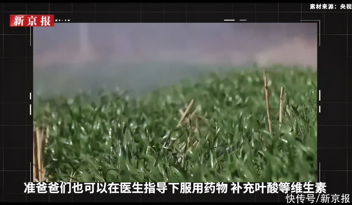 准爸爸|控制体重、补充叶酸、连紧身裤都不让穿，男性备孕，是交“智商税”吗？