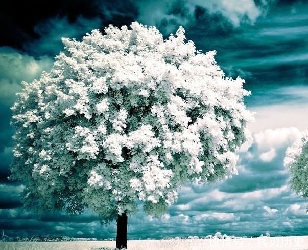 童话里的世界是个梦幻的地方,童话里的世界是个奇妙的地方!